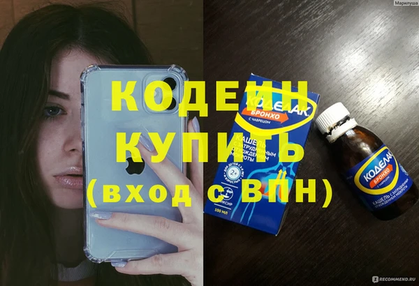 шишки Сосновоборск